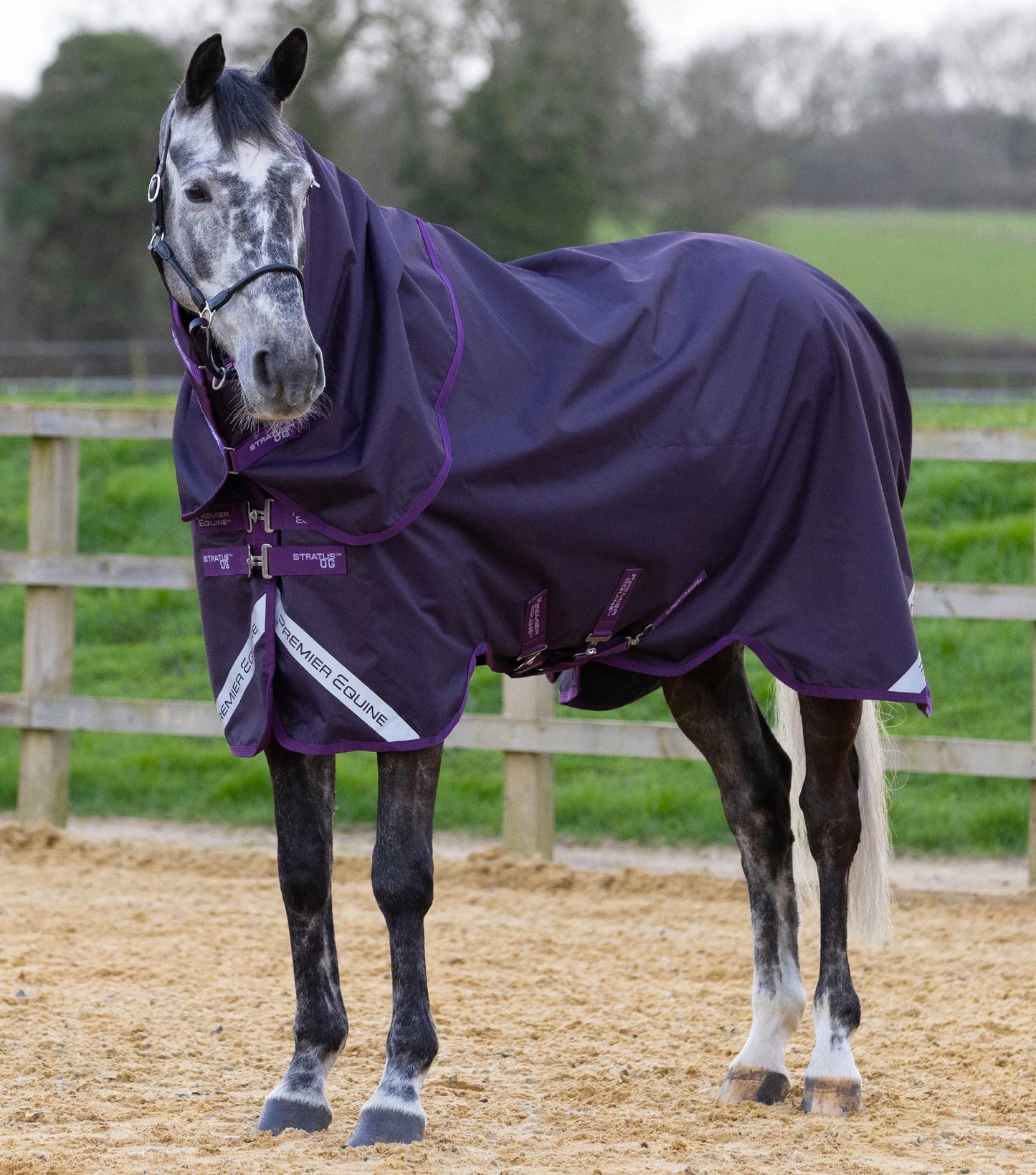Stratus 600D Series 0g Turnout Rug with Classic Neck Cover Navy