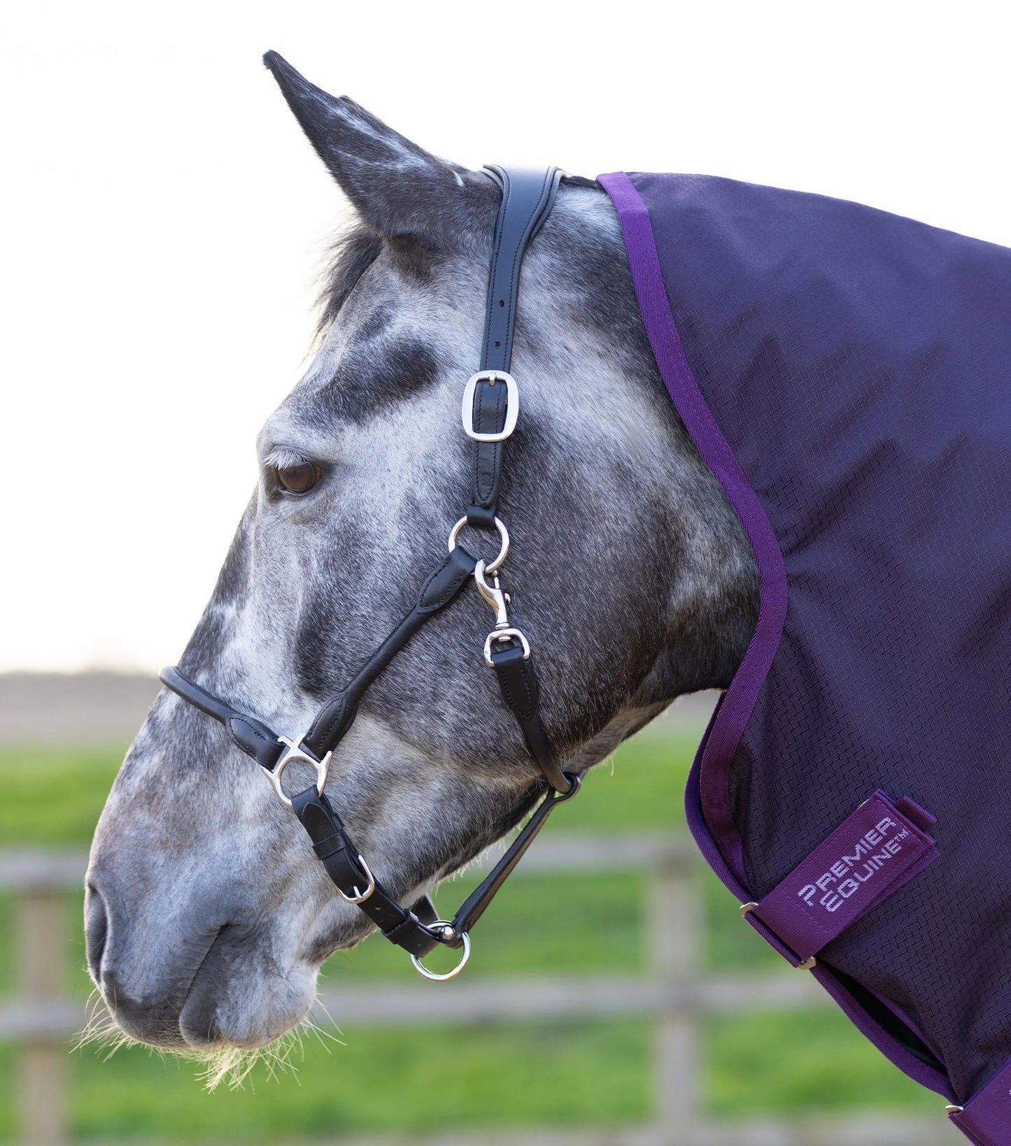 PE Stratus 600D Series 0g Turnout Rug with Classic Neck Cover Purple