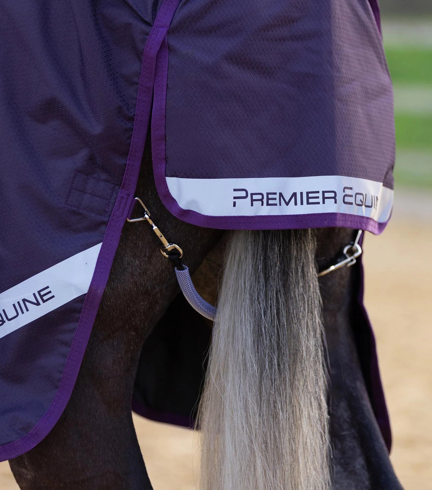 PE Stratus 600D Series 0g Turnout Rug with Classic Neck Cover Purple