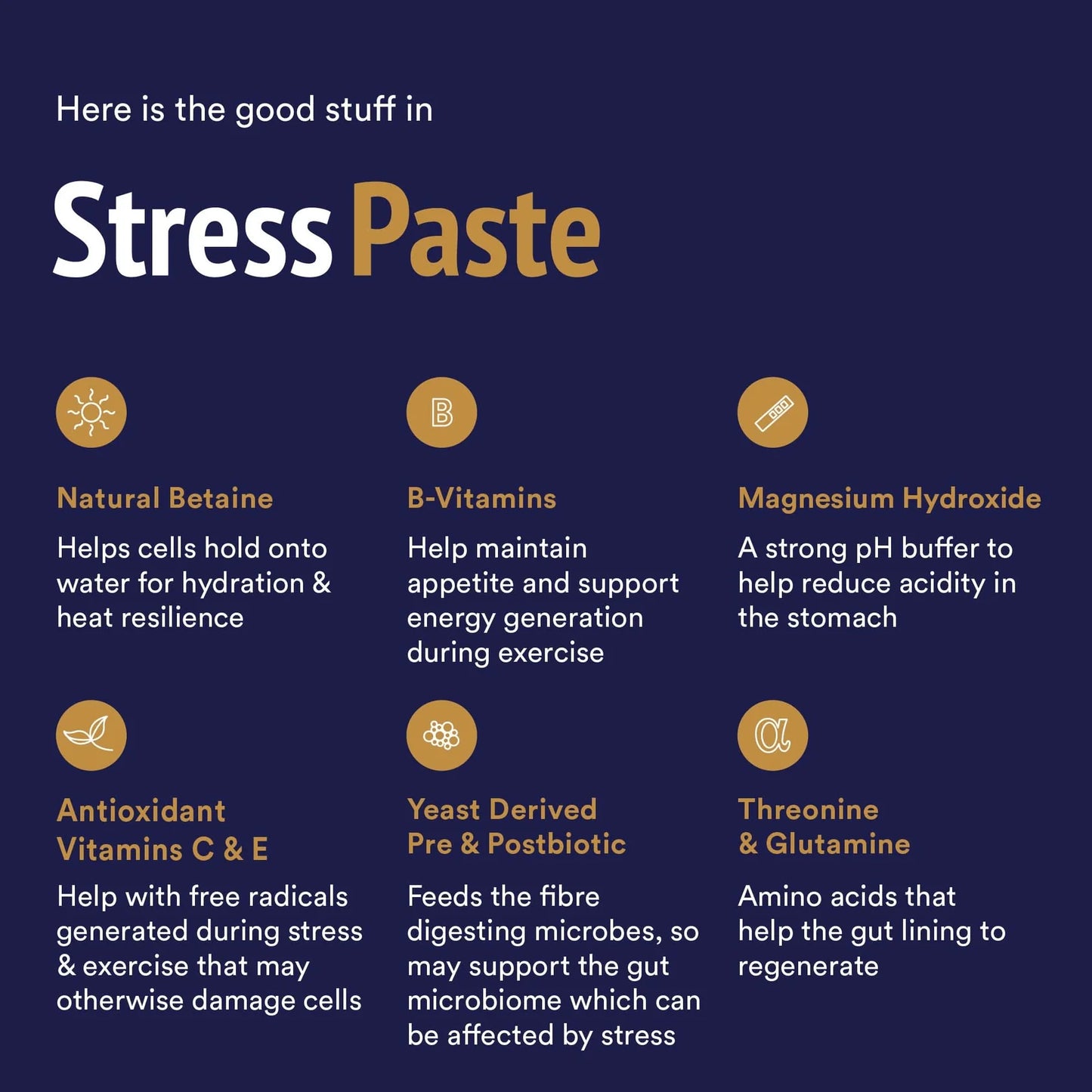 StressPaste