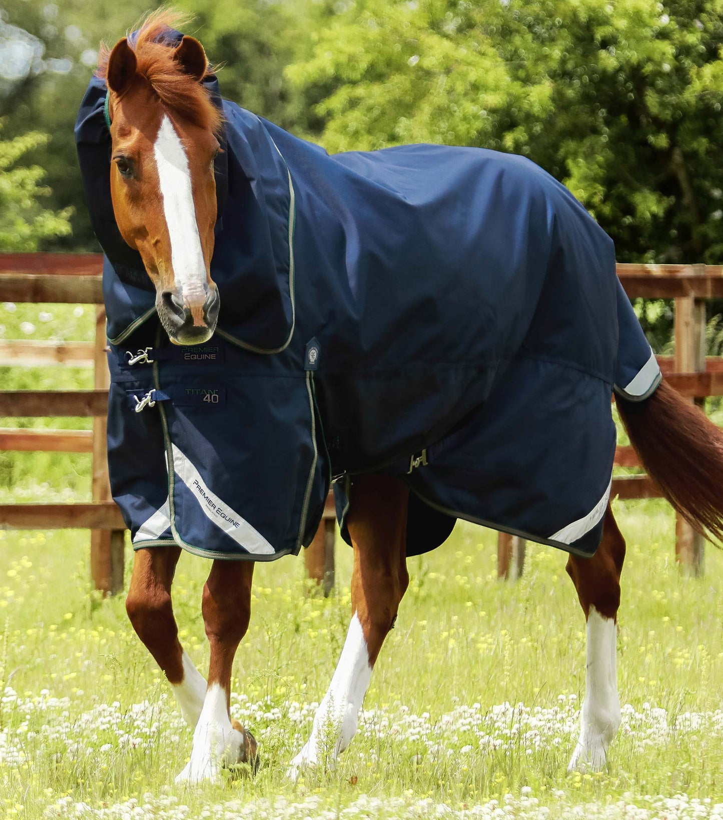 PE Titan 40g Turnout Rug with Snug-Fit Neck Cover Navy