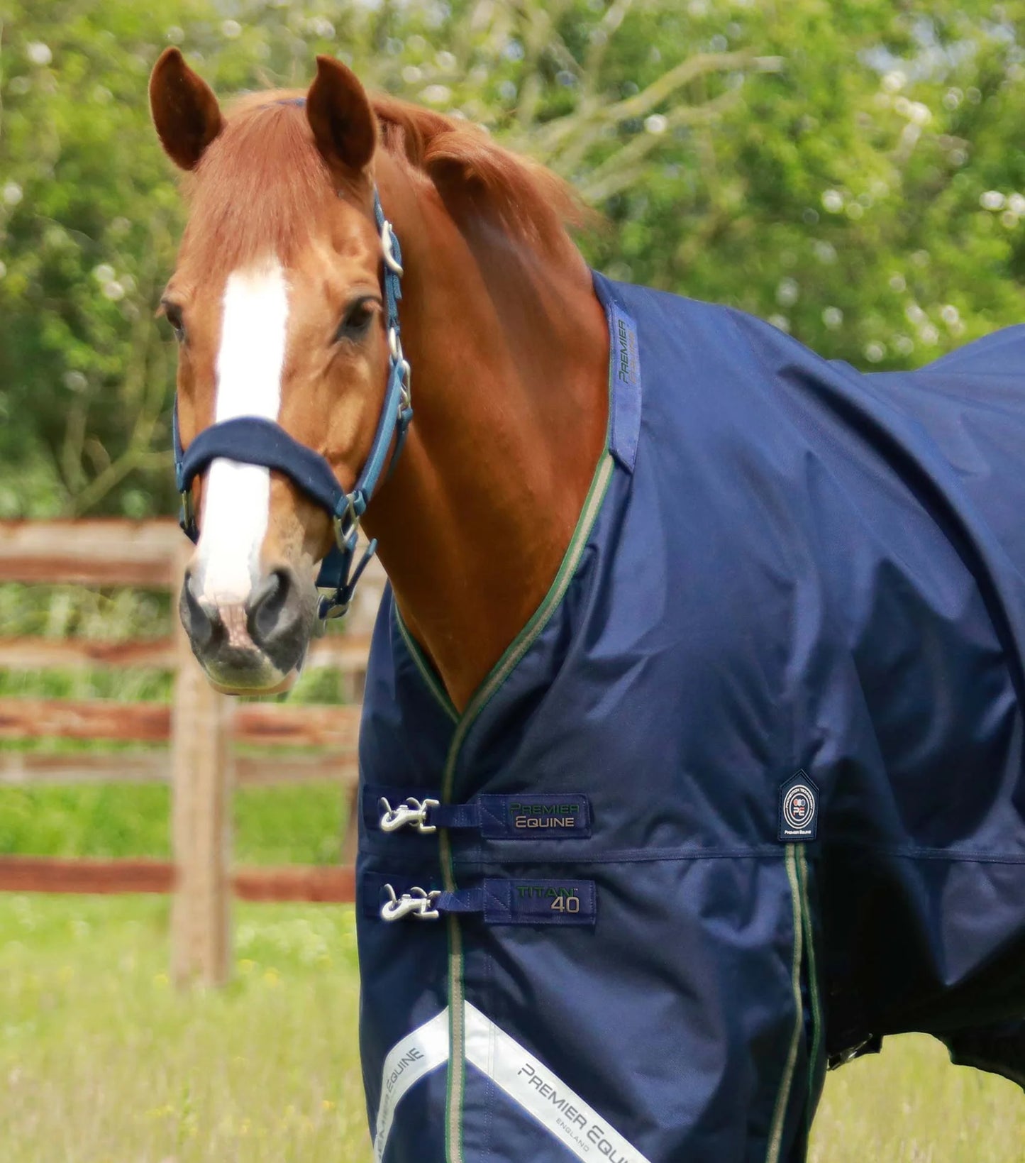 PE Titan 40g Turnout Rug with Snug-Fit Neck Cover Navy