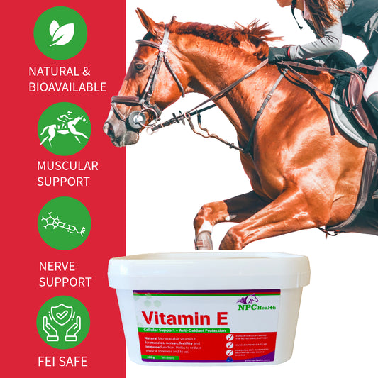 NPC Vitamin E for horses