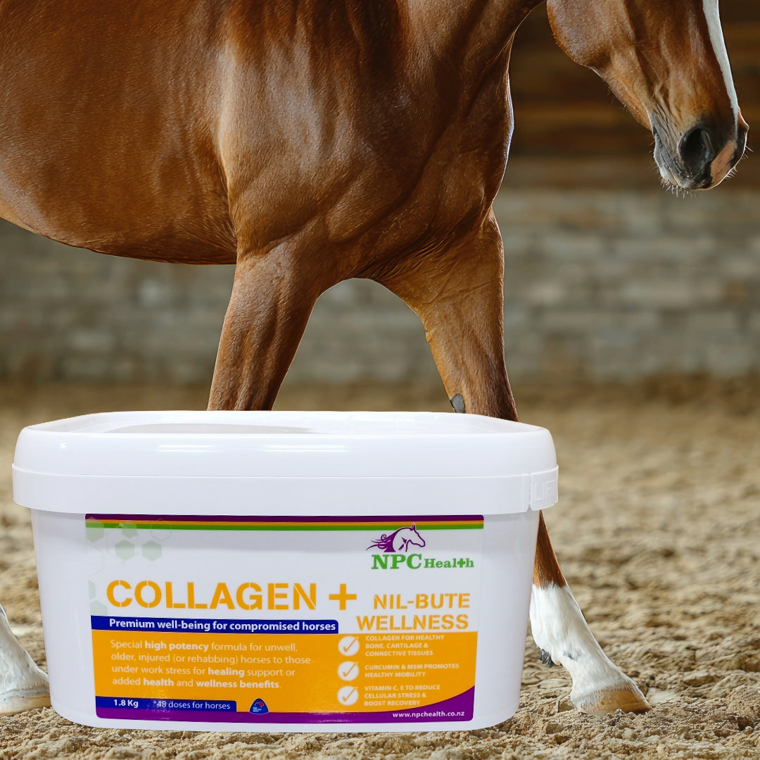 NPC Collagen PLUS | collagen for horses | support for compromised horses