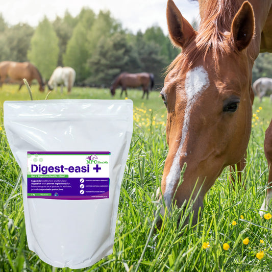 NPC Digest easi + | proven toxin binder & digestive aid
