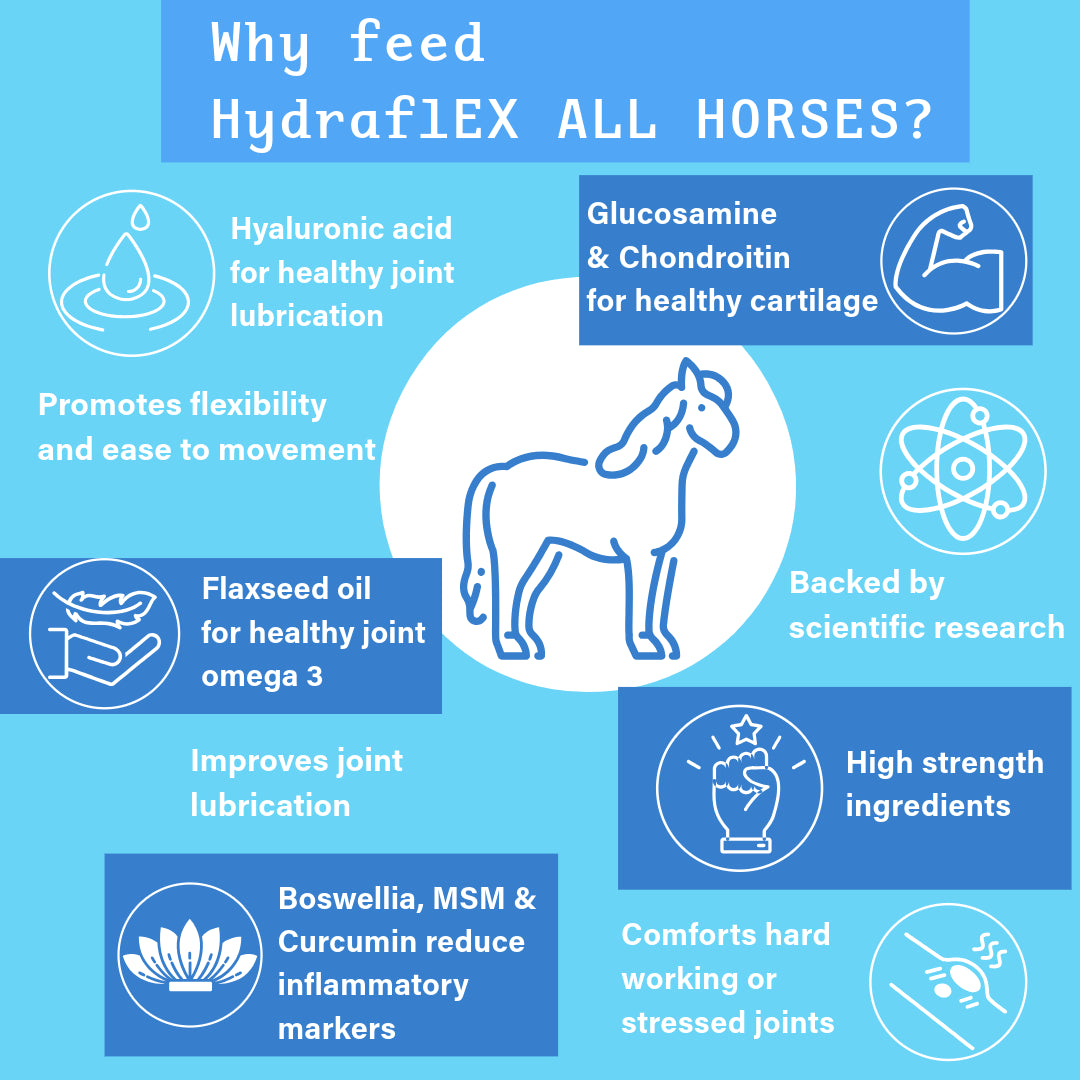 NPC Hydra-flex ALL HORSES | Equine joint supplement