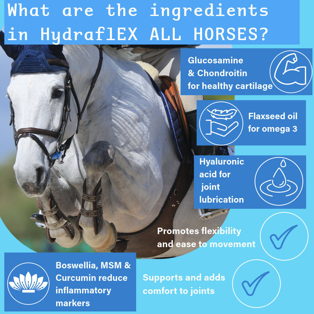 NPC Hydra-flex ALL HORSES | Equine joint supplement