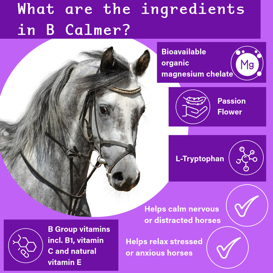 NPC B-Calmer | Calming Supplement for horses