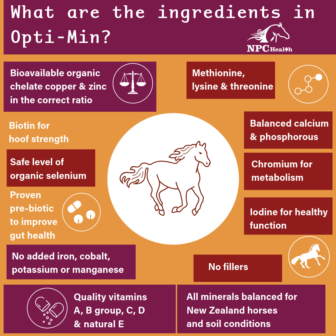 NPC Opti-Min | Best Horse minerals | Vitamins