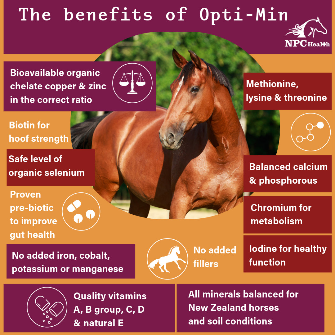 NPC Opti-Min | Best Horse minerals | Vitamins