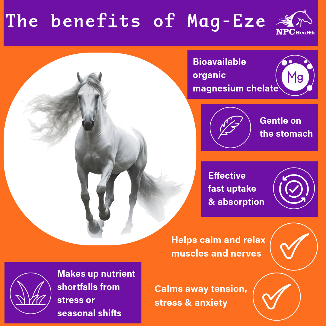 NPC Magnesium for horses | Best Chelate