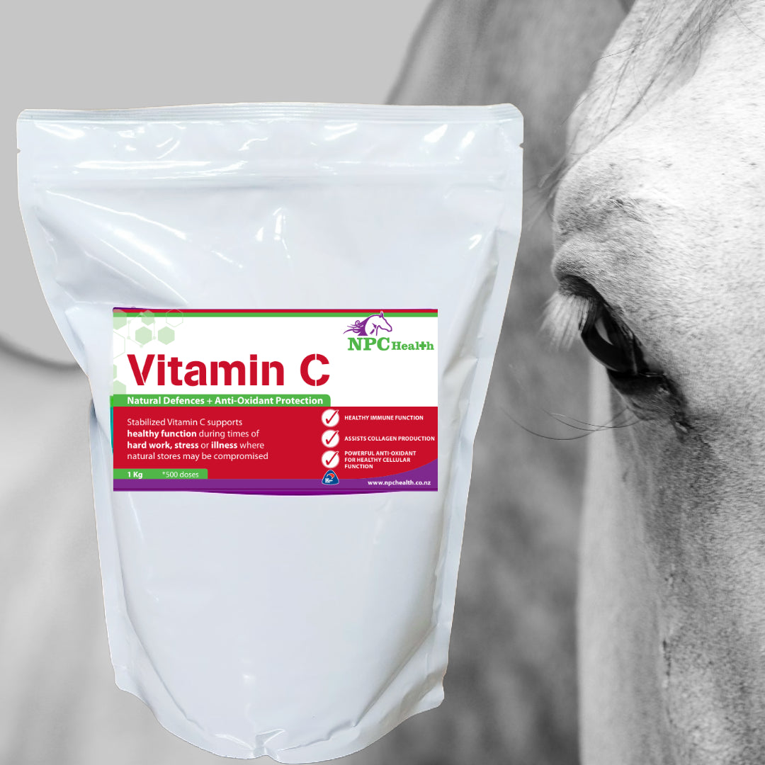 NPC Vitamin C for horses | Boost natural defences