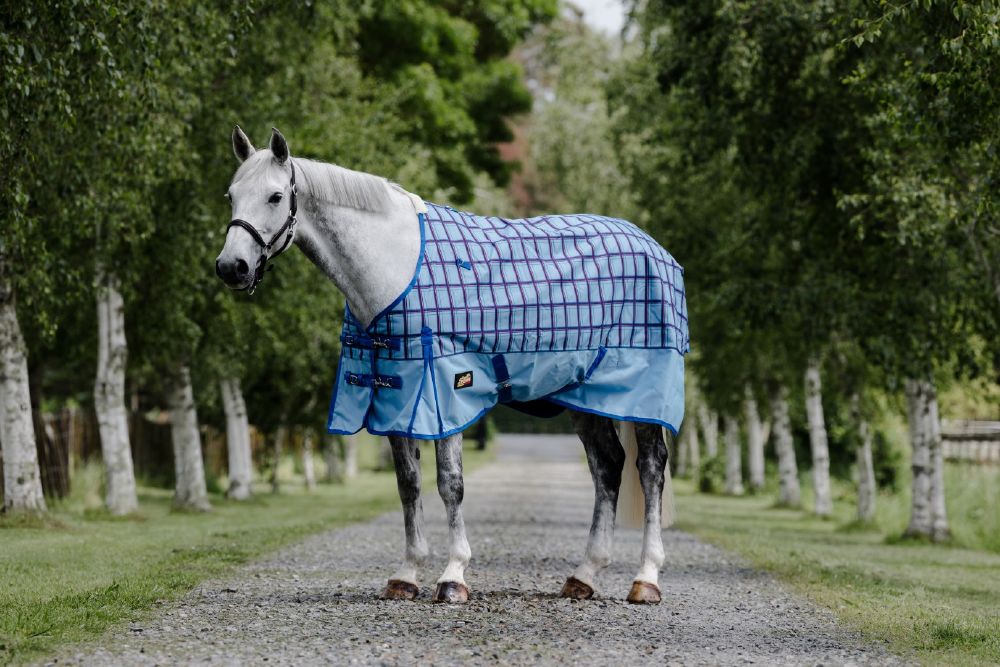 Flair Wanaka Light Rug 100gm