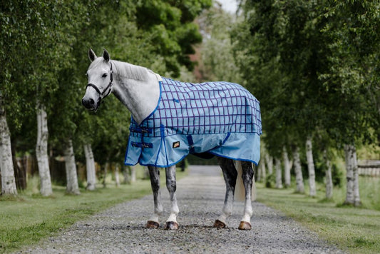 Flair Wanaka Medium Rug 220gm