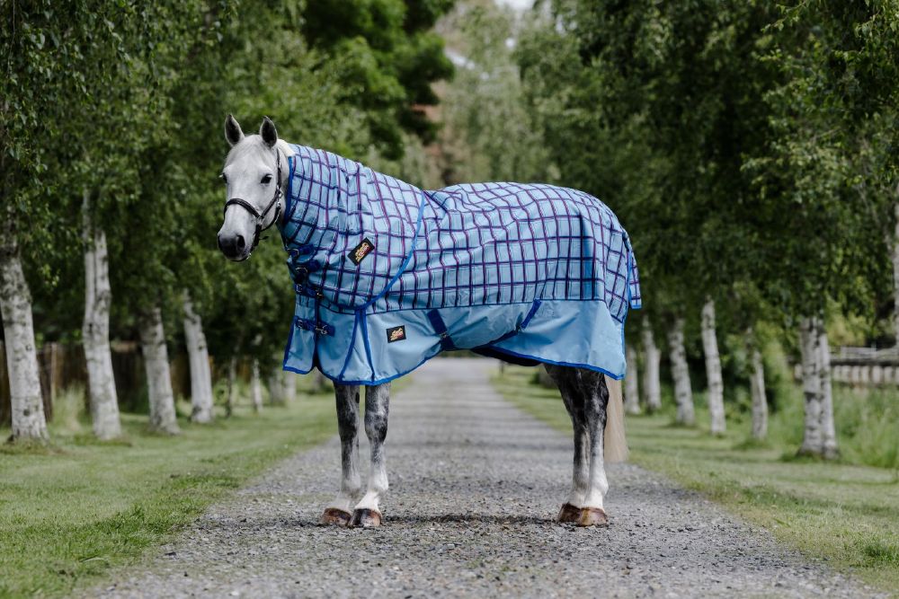 Flair Wanaka Rain Sheet Rug