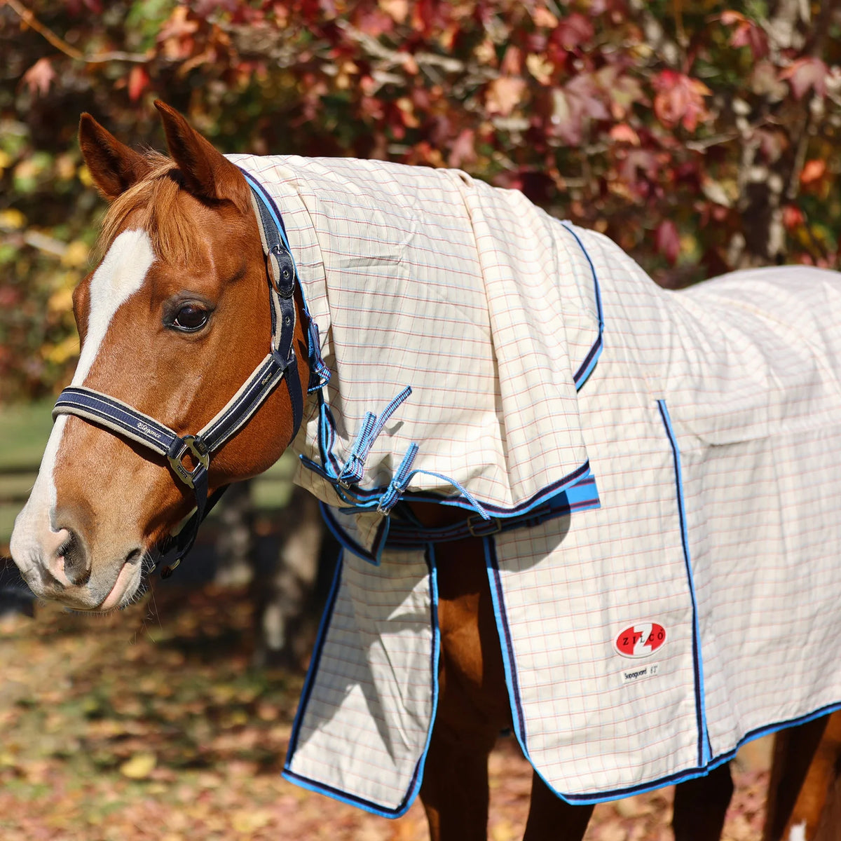 Horse wearing a quilted blanket with a bridle in an outdoor setting