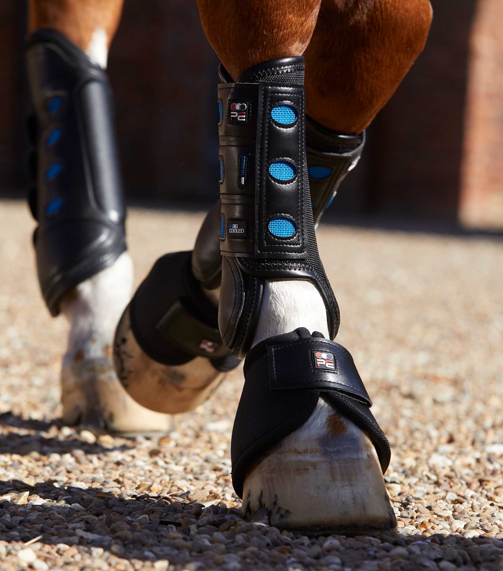 PE Air Cooled Original Eventing Boots Black Front