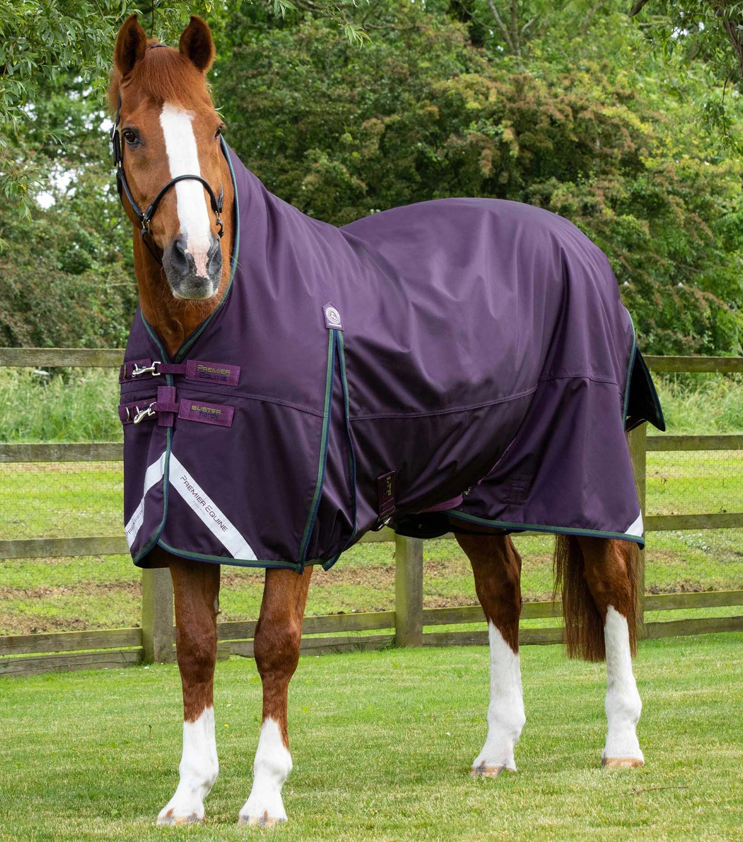 PE Buster Hardy 100g Half Neck Turnout Rug