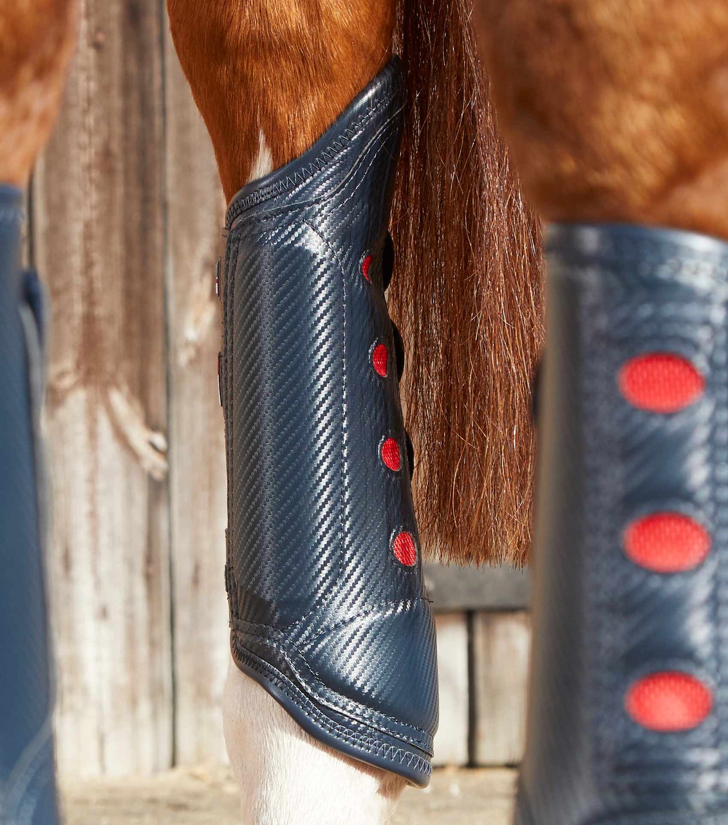 PE Carbon Tech Air Cooled Eventing Boots Hind
