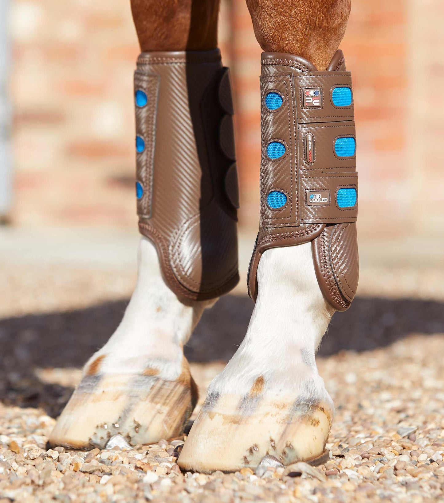 PE Carbon Tech Air Cooled Eventing Boots Front