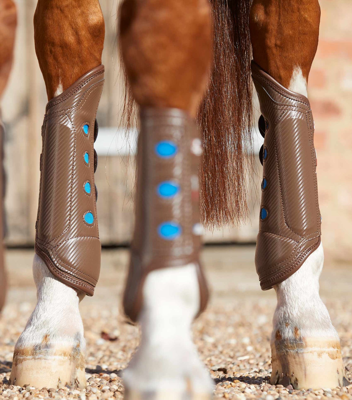 PE Carbon Tech Air Cooled Eventing Boots Hind
