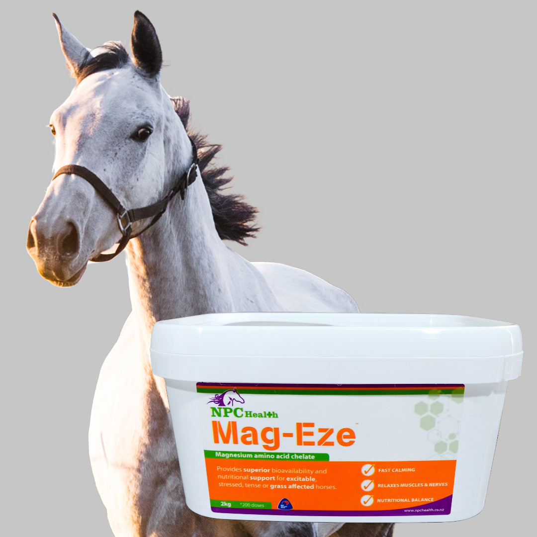 NPC Magnesium for horses | Best Chelate