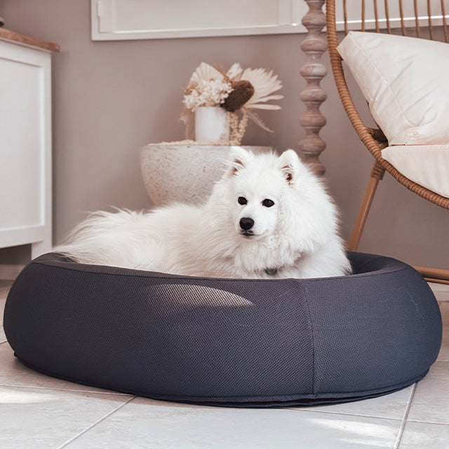 Brooklyn® Nest Dog Bed (Orthopaedic Memory Foam)