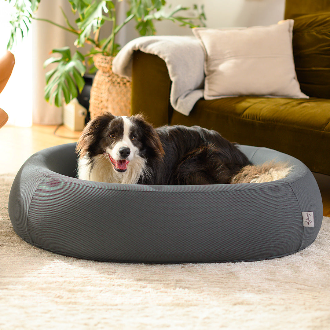 Brooklyn® Nest Dog Bed (Orthopaedic Memory Foam)