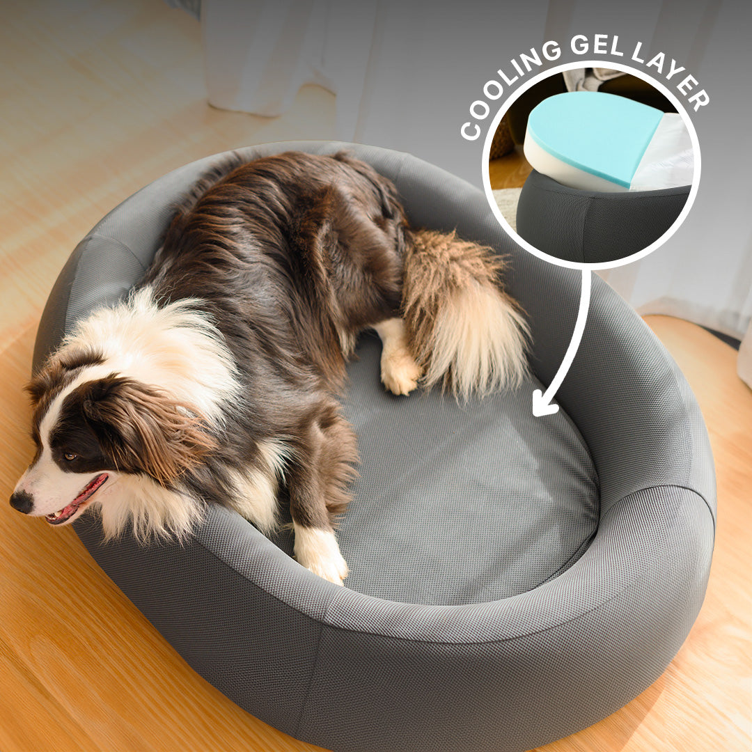 Brooklyn® Nest Dog Bed (Orthopaedic Memory Foam)