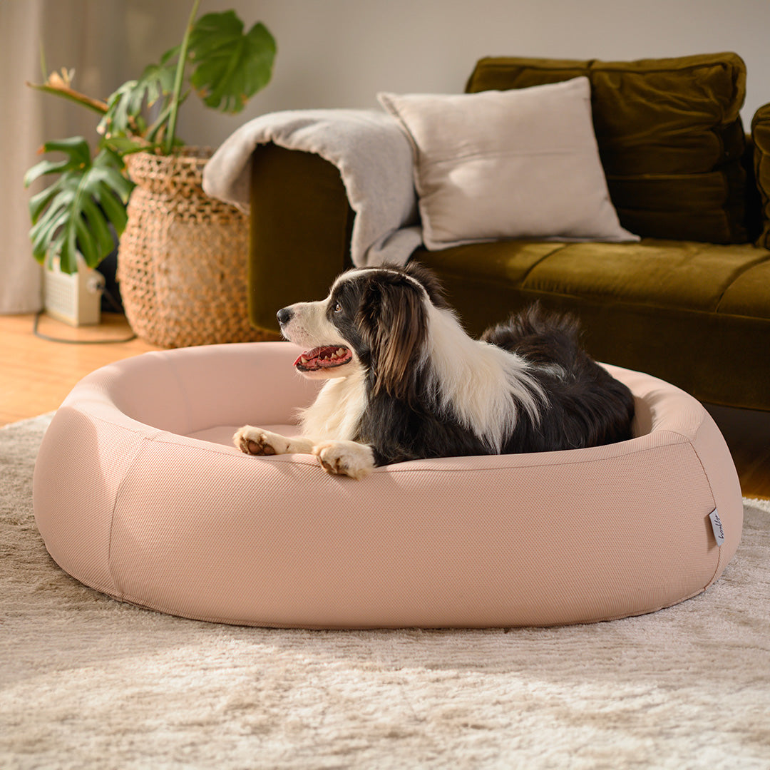 Brooklyn® Nest Dog Bed (Orthopaedic Memory Foam)