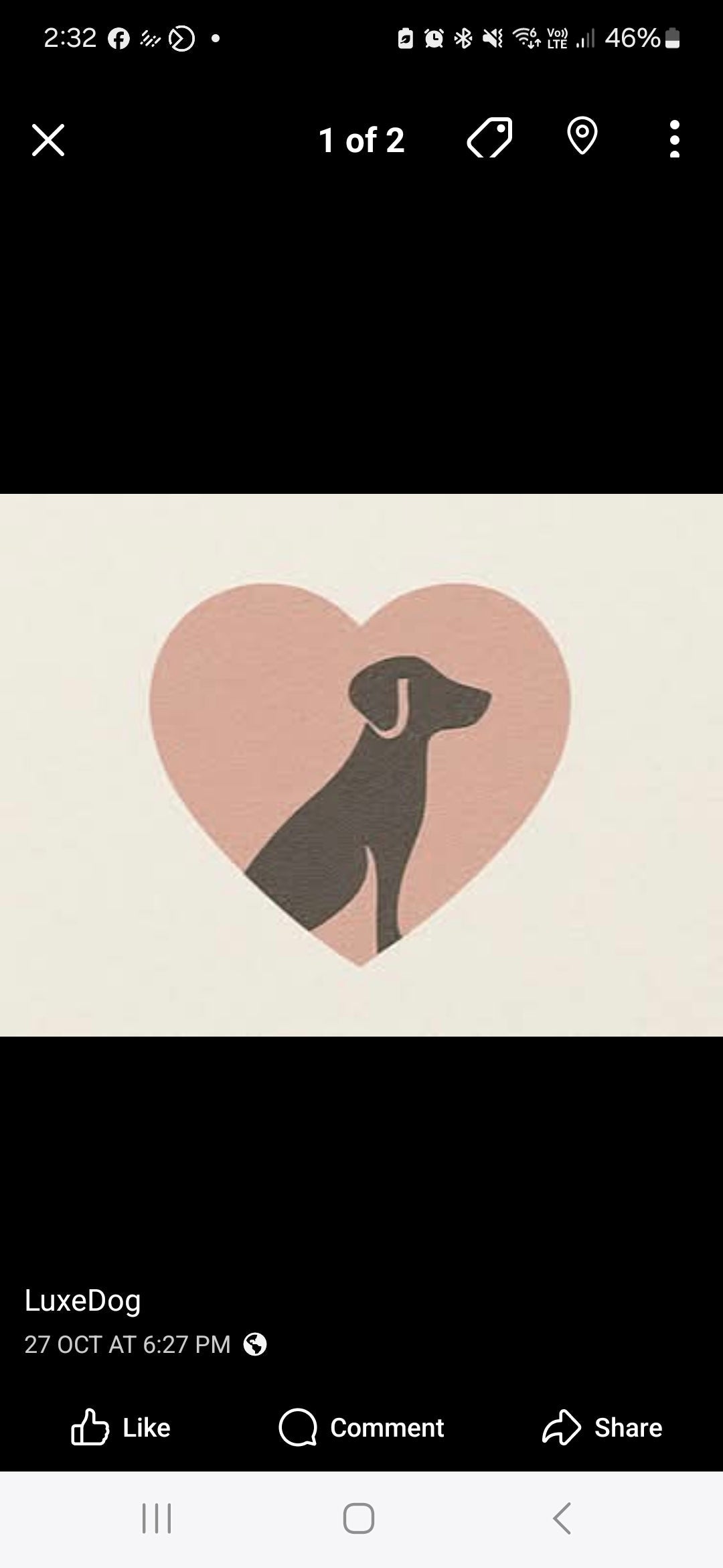 LuxeDog - L'Amour Edition - 50cm