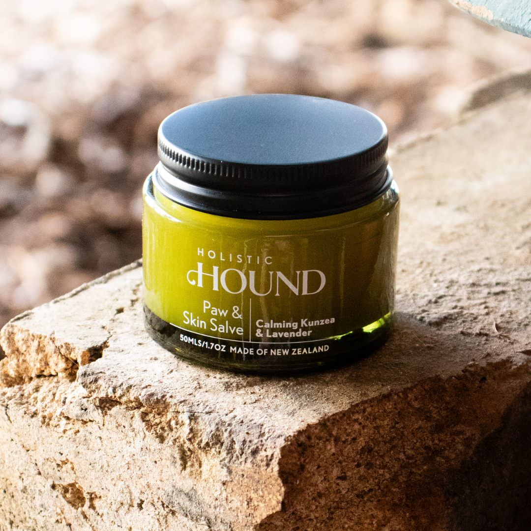 Holistic Hound - Paw & Skin Salve 50g