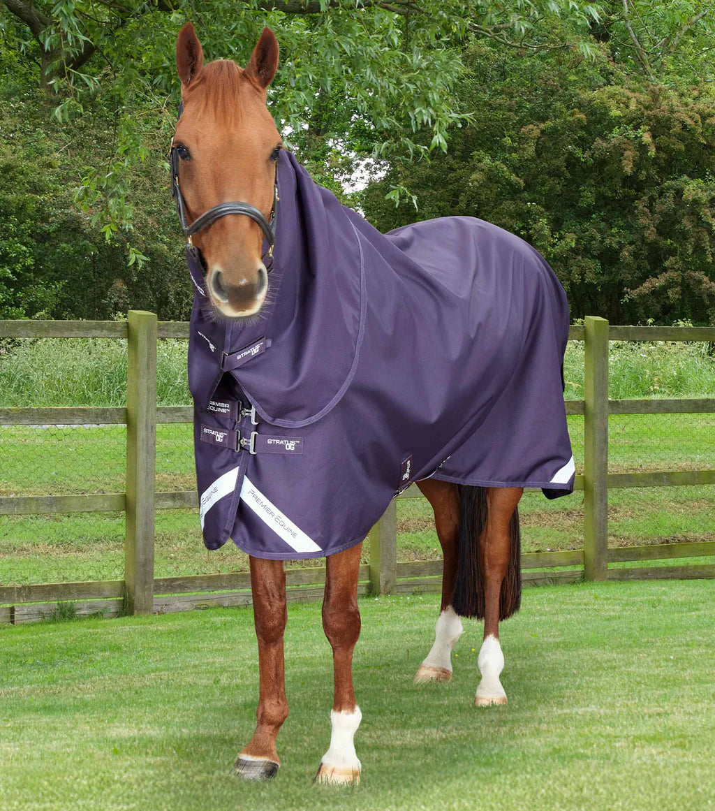 PE Stratus 1200 Series 0g Turnout Rug with Classic Neck Cover