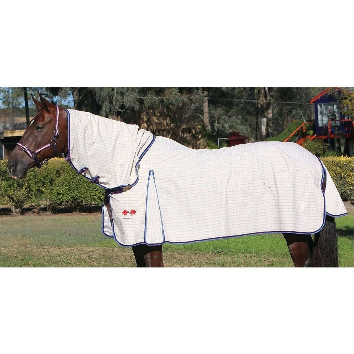 A brown horse standing outdoors on grass, wearing a white horse blanket with a neck cover and dark blue trim. The horse is photographed in a real outdoor setting with trees and a playground visible in the background.